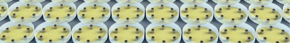 Peni Cylinder Dispenser - banner