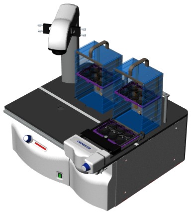 Tumor Colony Analyzer with Stacker